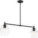 Summer Jazz 2 Light 36 inch Matte Black Island Pendant Ceiling Light