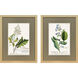 Alluring Botanical I Green and Multi and Yellow and Blue Framed Art, Propac