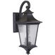 Argent II 2 Light 21 inch Midnight Outdoor Wall Mount, Medium