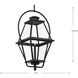 Bradshaw 1 Light 12 inch Textured Black Outdoor Hanging Lantern, Design Series