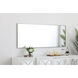 Monet 60 X 24 inch Silver Wall Mirror