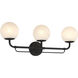 Whitehall 3 Light 28 inch Dark Matte Black Vanity Light Wall Light
