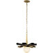 Daphne 1 Light 18.5 inch Matte Black with French Gold Pendant Ceiling Light