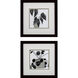 Plantling Black and White and Brown Framed Art, Propac