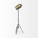 Debdou 61 inch Gold Floor Lamp Portable Light