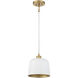 Vintage 1 Light 9 inch White and Natural Brass Pendant Ceiling Light in White with Natural Brass
