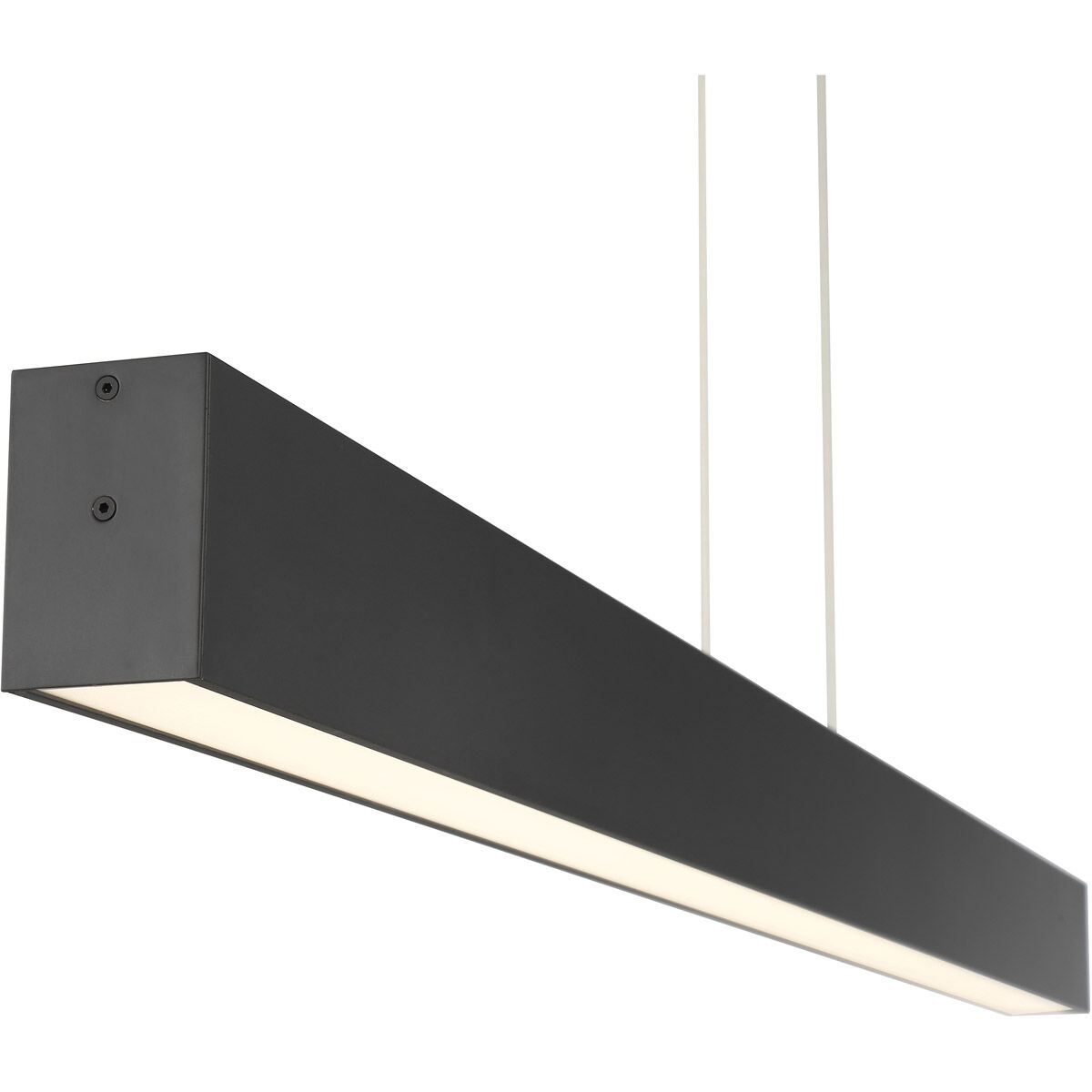 Form Dual LED 2 inch Matte Black Pendant Ceiling Light