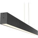 Form Dual LED 2 inch Matte Black Pendant Ceiling Light