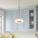 Stephord Pendant Ceiling Light in Frosted Glass Shade, Metallic Brass