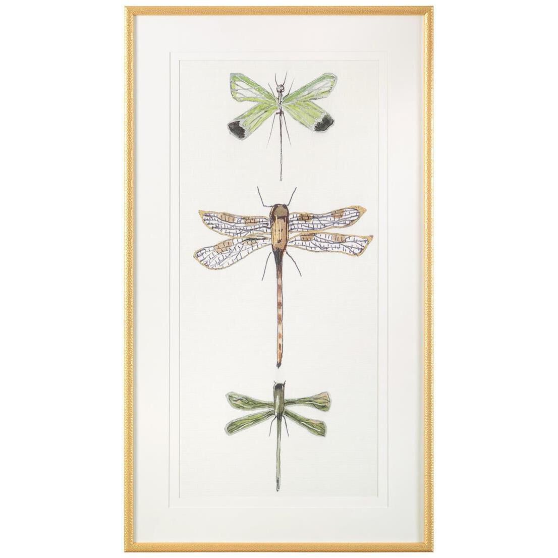 Joy Colangelo's Joyful Dragonflies I Giclees, Animal