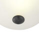 Glass Domes 1 Light 11 inch Graphite Flush Mount Ceiling Light