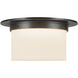 Mineral 2 Light 11.13 inch Urban Bronze and Matte Opal Glass Flush Mount Ceiling Light in Opal Glass Shade