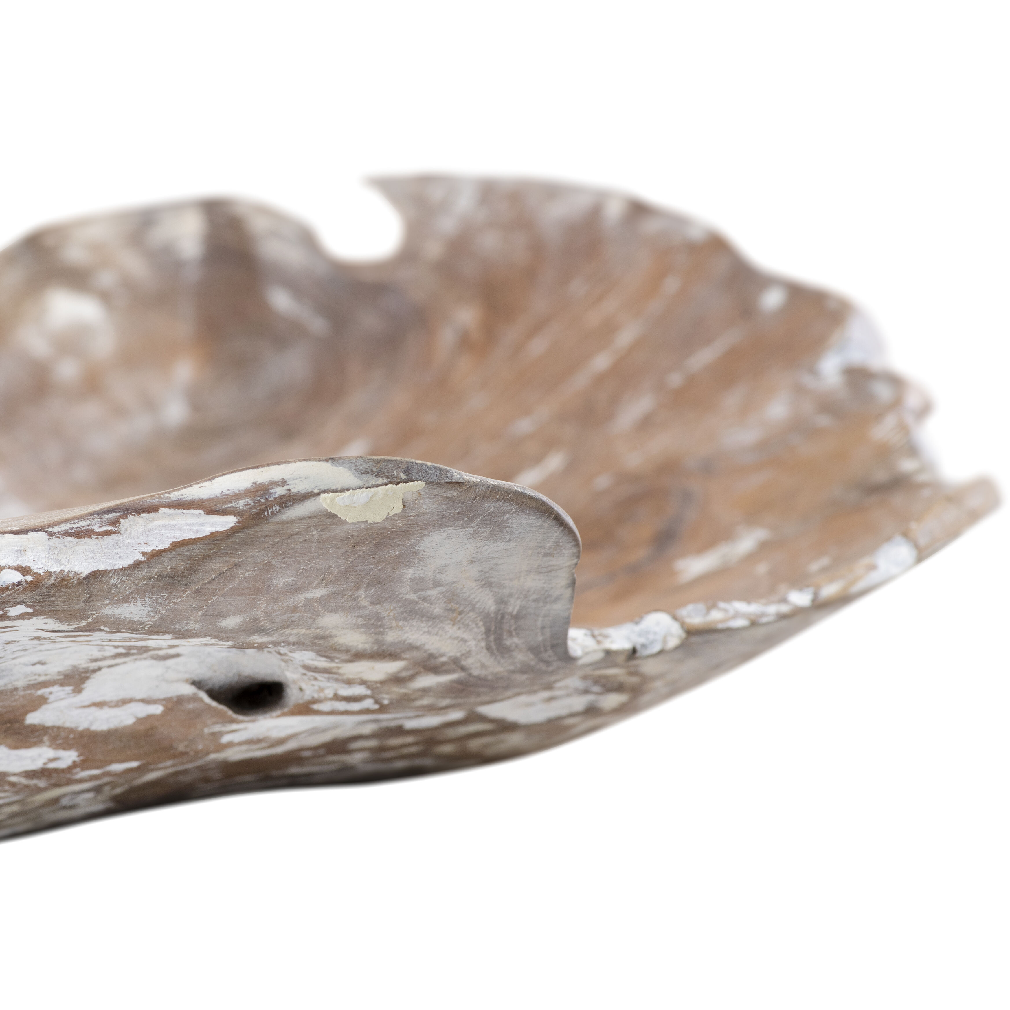 Charbin 15.5 X 4.5 inch Bowl