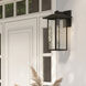 Capanna 1 Light 20 inch Olde Bronze Outdoor Wall Light