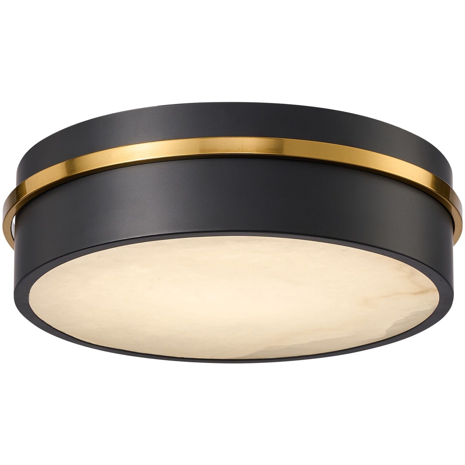 Dax LED 12 inch Black and Brass Flush Mount Ceiling Light