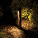 Scoop 120 12.5 watt Bronze Bollard Light in 2700K Warm LED, WAC Landscape