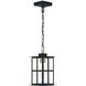 Greyson 1 Light 7.5 inch Brass and Black Outdoor Pendant