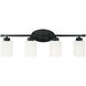 Dixon 4 Light 29 inch Matte Black Vanity Light Wall Light
