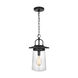 Tybee 1 Light 8.5 inch Black Outdoor Pendant