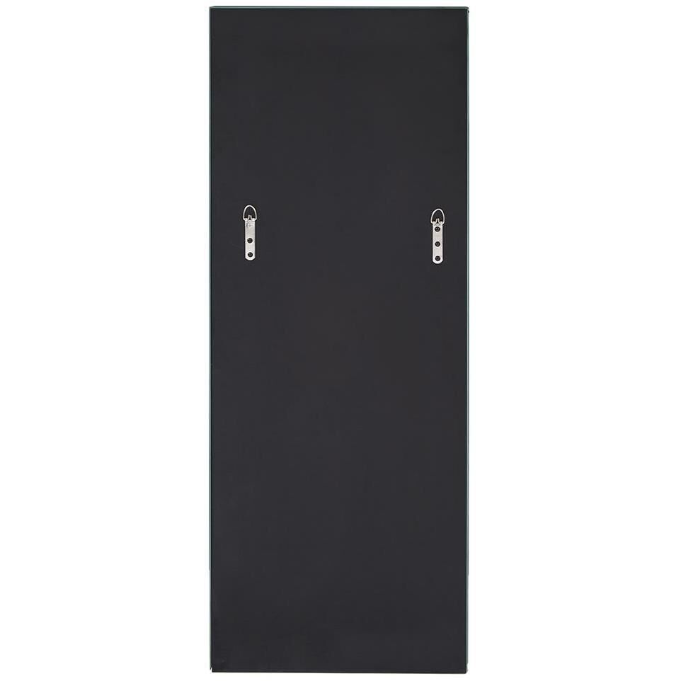 Carter 42 X 16 inch Mirrored Shelf 