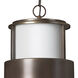 Saturn LED 10 inch Metro Bronze Outdoor Hanging Lantern