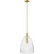Transitional 1 Light 14 inch Natural Brass Pendant Ceiling Light