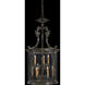 Metropolitan Family Collection 9 Light 26.5 inch French Oxide Pendant Ceiling Light