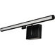 Procyon 24 inch Black Bathroom Vanity Light Wall Light