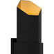 Chasm LED 21 inch Matte Black Gold Outdoor Wall Lantern