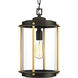Laine 1 Light 9.75 inch Architectural Bronze Outdoor Hanging Lantern