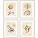 Propac Multi and Blue and Beige and Teal Framed Art, Propac