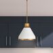 Doyle 1 Light 18.75 inch Natural Brass Pendant Ceiling Light