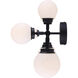 Poppy 7 Light Black Track Light Ceiling Light