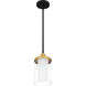 Rowland 1 Light 6 inch Matte Black Mini Pendant Ceiling Light