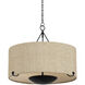 Elias 4 Light 28 inch Forged Iron Chandelier Ceiling Light
