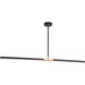 Lineare LED 49 inch Matte Black and Aged Gold Brass Pendant Ceiling Light