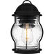 Luther Outdoor Wall Lantern, Small
