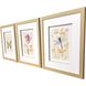 Nature's Wonder Yellow and Multi and Beige Framed Art, Propac