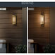 Berens 1 Light 16 inch Natural Brass Outdoor Wall Light