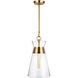 C&M by Chapman & Myers Atlantic 1 Light 10.63 inch Burnished Brass Pendant Ceiling Light