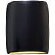 Ambiance Collection LED 10 inch Gloss Black/Matte White Outdoor Wall Sconce