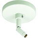Aaliyah 1 Light White Track Ceiling Light