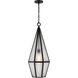 Peninsula 1 Light 12 inch Black Outdoor Hanging Lantern