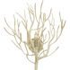 Eventide Wall Sconce Wall Light