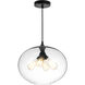 Glass 4 Light 16 inch Black Down Pendant Ceiling Light in Clear