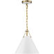 Xavier 1 Light 12 inch Vibrant Gold Mini Pendant Ceiling Light