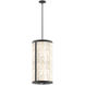 Great Outdoors Salt Creek LED 13 inch Coal Outdoor Pendant