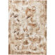 Piave 36 X 24 inch Earth Tones Rug in 2 x 3