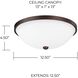Perkins 2 Light 12.5 inch Burnished Bronze Flush Mount Ceiling Light