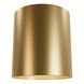 Canoga 1 Light 5 inch Luxe Gold Flush Mount Ceiling Light, Small